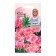 Flower seeds Godegia "Rembrand", 0.1 g
