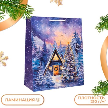 Gift package "Hit in the forest", 26 x 32 x 12 cm