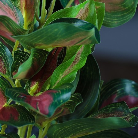 Aquarium plant "In a pot", 31 x 23 x 19 cm-1