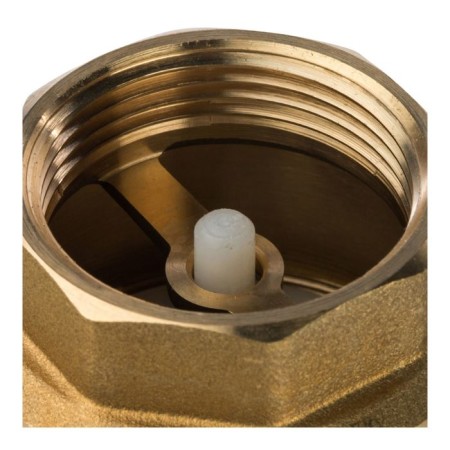 Reverse valve SVC-0002-000032, 1 "1/4, spring, coupling, with a metal saddle-3