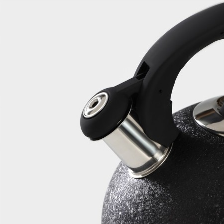A kettle with a stainless steel whistle Snow, 3 l, induction, black color-2