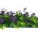 Decorative panel, 60 × 40 cm, “purple sheets”, Greengo
