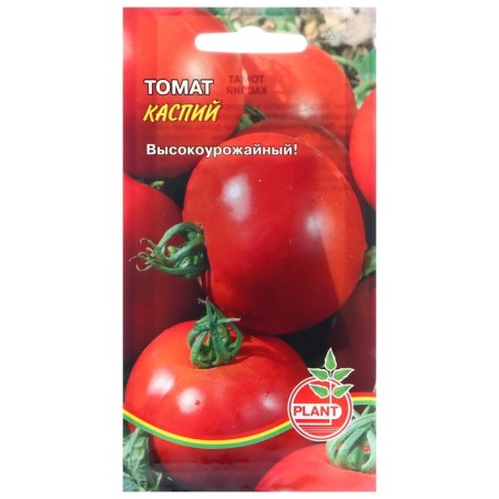 Caspian tomato seeds, 20 pcs