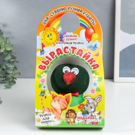 Growing gift Grass growing "Parrot Kesha"-4
