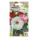 Flower seeds of hibiscus "honeymoon", mixture, 3 pcs.