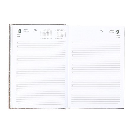 Dated diary 2025 A5 168 sheets, Attomex. Arkona, solid cover, boomvinyl with foam, liesse, block 70, gray-10