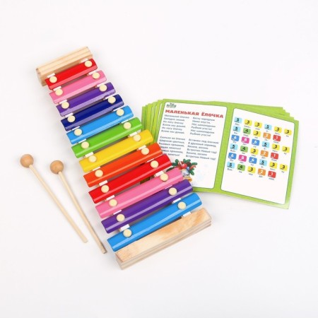 Metallophone, 12 tones + cards with songs-1