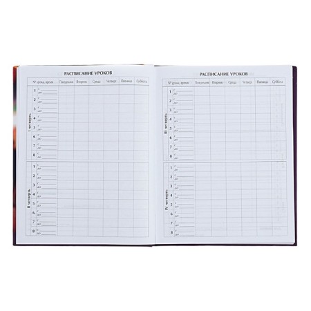 Universal diary for grades 1-11 Stylish Girl, hard cover, matte lamination, selective varnish, 40 sheets-5