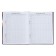 Universal diary for grades 1-11 Stylish Girl, hard cover, matte lamination, selective varnish, 40 sheets