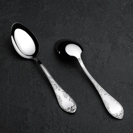 Tablespoon "Ambassador", h = 20 cm, thickness 2.5 mm, silver color