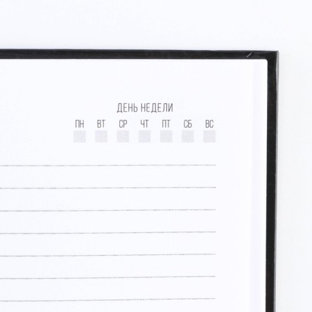 Diary in solid cover A5, 80 "Skull"-3