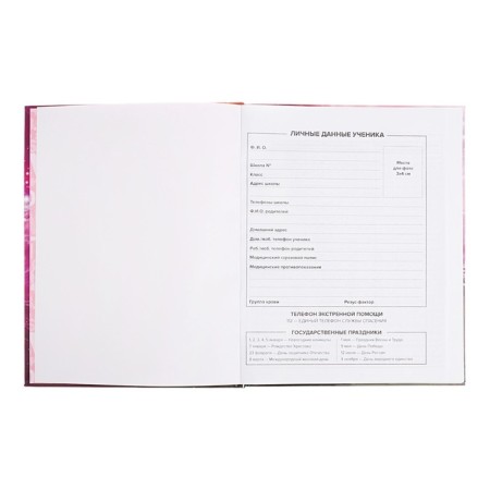 School diary for grades 1-11 Infinity, covered cardboard, glossy lamination, foil embossing, universal cheat sheet, 48 sheets, block 65g/m2-4
