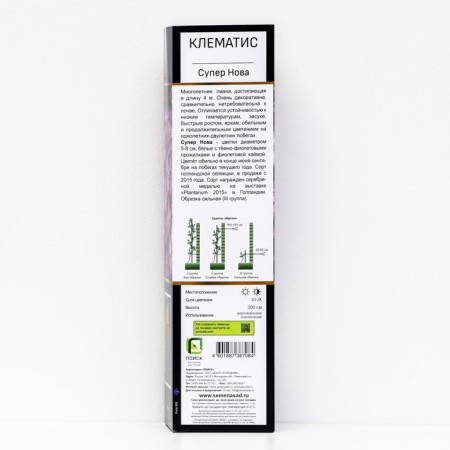 Clematis Botanical suite "Super Nova", 1 pc, tube, spring 2024-1