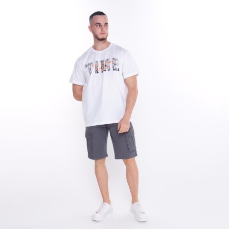 Male shorts, gray color, size 48-50 (33)