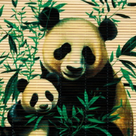 Qinovka Makis for the preparation of land and rolls "Panda", 22 x 24 cm-4