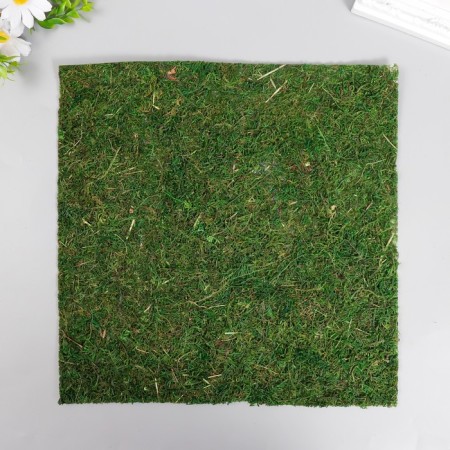 Natural moss sheet Blumentag 30 cm