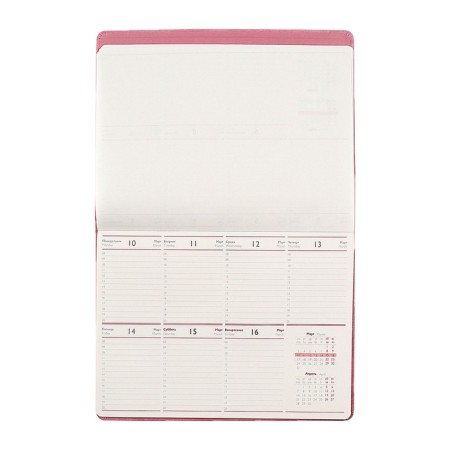 Dated 2025, 250 x 190 mm, 54 sheets, gluing, Escalada, hard -leather cover, pancake embossing, tinted block 70 g/m2, pink-7