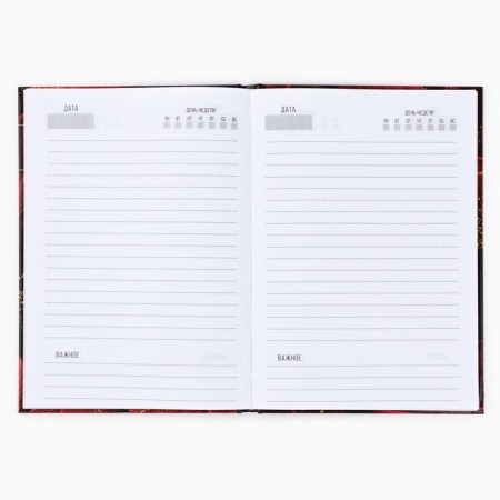 Diary A5, 80 liters, solid cover, burgundy "Golden Teacher"-2