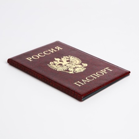 Cover for passport, burgundy color-2