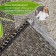 Seaweed rug, size 60x90 cm