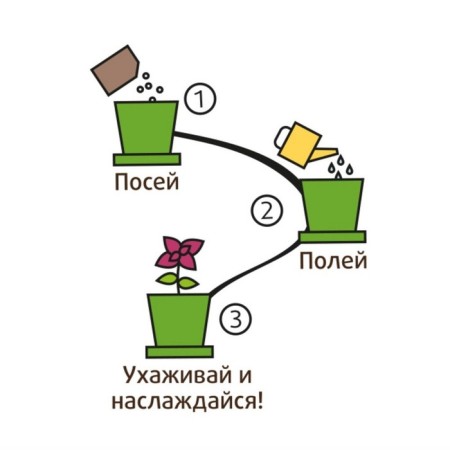 Set for creativity "Pot" Flox Charm "-5