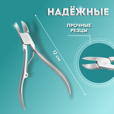Pigitan nippers, 12 cm, blade length - 20 mm, silver color-1