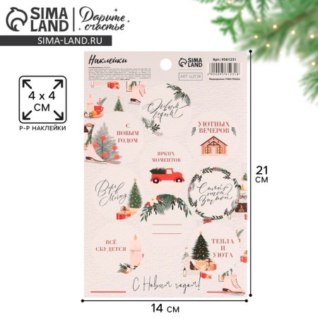 Paper stickers for gifts “Believe in Dream”, 14 x 21 cm, New Year