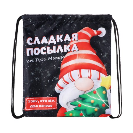 New Year. Bag for sweets 290 x 340 mm "Parcel from Santa Claus" (soft polyester density 210d)-1