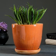 Flower pot 