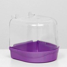 Bird swimmer, 145 x 136 x 140, purple mother of pearl
