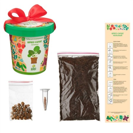 Set for creativity "Pot" "Cross-Salates Useful"-2