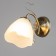 Sconces "Rose" 1x40W E27 Antique bronze 25x13x23cm