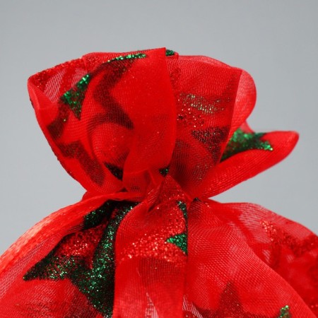 Bag Gift Organza "Star", 16 x 24 cm +/- 1.5 cm, New Year-2