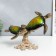 Souvenir Polystone "Turtles on Corals" 19.5x11.5x25 cm