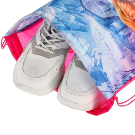 Back for shoes 420*330 mm, cold heart "Anna and Elsa"-1