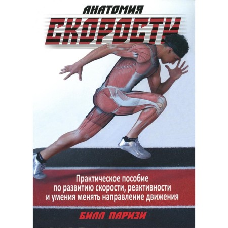 Speed ​​anatomy. Parisi B.