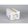 Wall lamp (sconces) Lario E14 80W