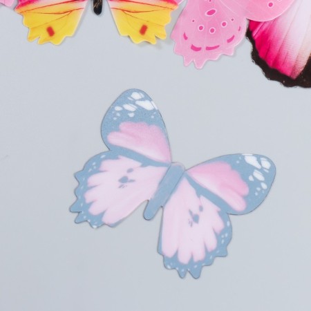 Plastic Plastic Plastic Assorted Set 12 pcs mix 12,10,8,6,4 cm-2
