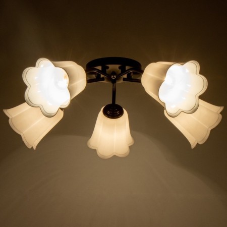Causte "Online" (Flower) 5x15W E27 Model: BR 00241 Black/White-2