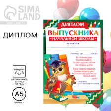 Diploma for the graduation 