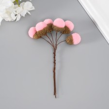Flowers for decorating 