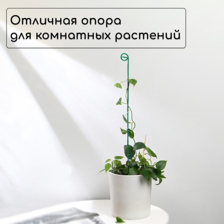 Pegs for garter plants, h = 60 cm, d = 0.3 cm, wire, green, greengo-1