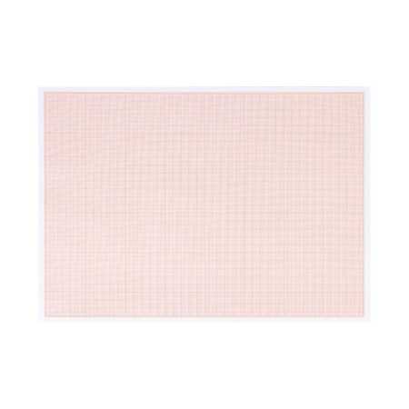 Large-scale-cordial A3 paper 10 sheets of Calligrata, orange mesh-3