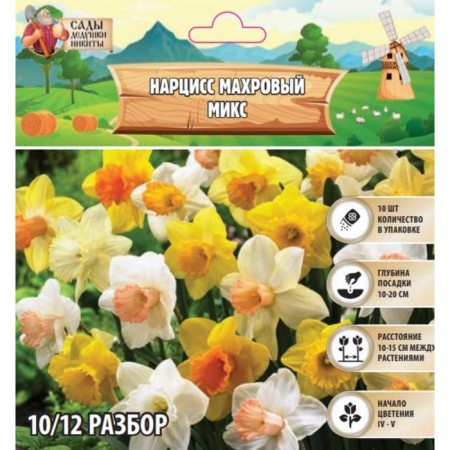 Narcissus Terry Mix Rr 10/12, 10 pcs