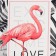 Gift Love Pink Set Tap-Kartan, Toward, Bubble