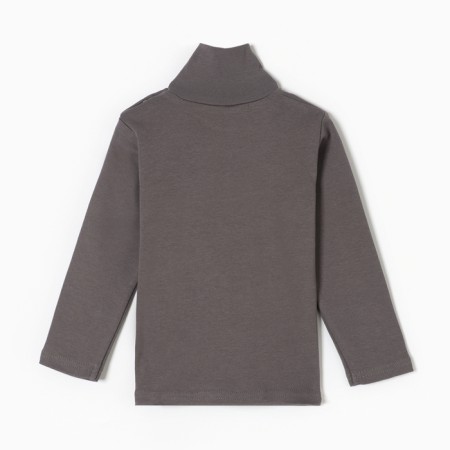 Turtleneck for boys, graphite color, height 86 cm-3