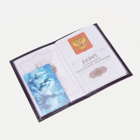 Passport cover, purple color-4