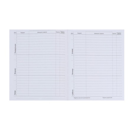 Universal diary for grade 1-11 Favorite, soft cover, button, artificial leather, foil embossing, refrain, lies, 48 ​​sheets-6