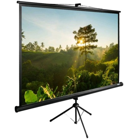 Cactus screen 200x200cm Triexpert CS-PSTE-200x200-BK 1: 1 floor roll black