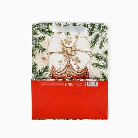 Package Gift New Year Laminated "Magic in the New Year", MS 18 x 23 x 10 cm, New Year-5